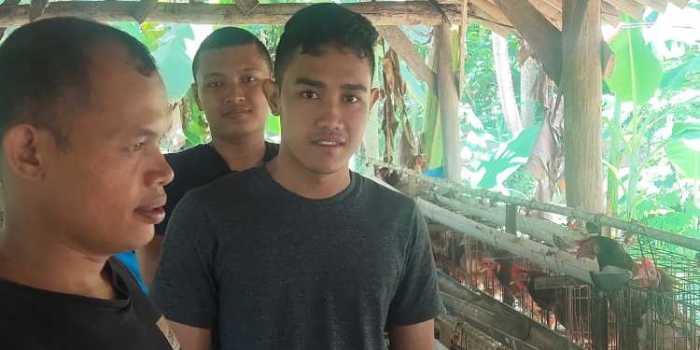 Harga telur ayam di Banda Aceh tembus Rp53 ribu per papan - ANTARA News ...