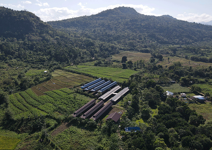 Ternak ayam petelur di Parangloe, Gowa