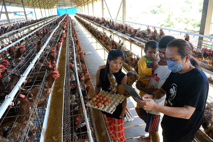 Peternakan Ayam Petelur Semi Permanen Modern Cianjur di Kab. Cianjur ... Peternakan Ayam Petelur Semi Permanen Modern Cianjur di Kab. Cianjur ...
