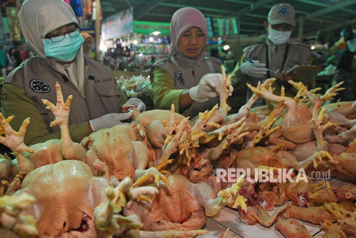 Harga Daging Ayam di Temanggung Turun | Republika Online