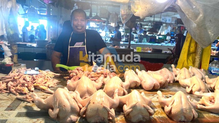 Pasokan Ayam Potong Berkurang, Harga Naik, Seekor Rp 60 Ribu ... Harga ayam kampung potong di Pasekan, Indramayu