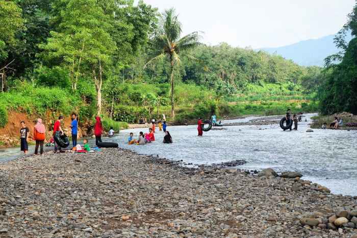 Budidaya ayam di Way Lima, Pesawaran