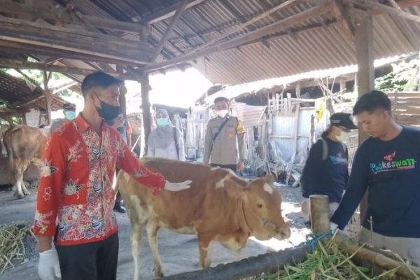 Daging kambing di Suboh, Situbondo