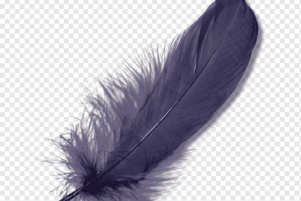 Bulu kelinci di Mata Usu, Bombana