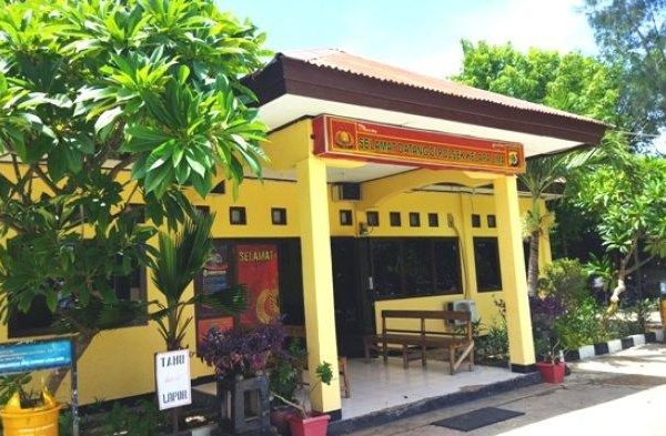 Daun penggemuk ayam di Kelapa Lima, Kota Kupang