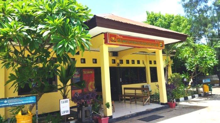 Daun penggemuk ayam di Kelapa Lima, Kota Kupang