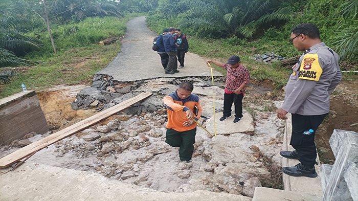 Daun penggemuk ayam di Sengah Temila, Landak