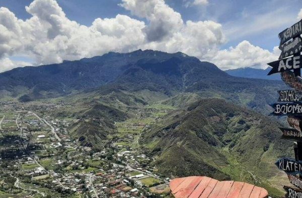 Daun penggemuk ayam di Yamoneri, Kab. Puncak Jaya