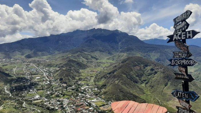 Premix Penggemuk Ayam Broiler di Banyuwangi - Tribun JualBeli Daun penggemuk ayam di Lumo, Kab. Puncak Jaya