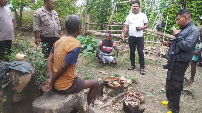 Daun penggemuk ayam di Biboki Tan Pah, Timor Tengah Utara