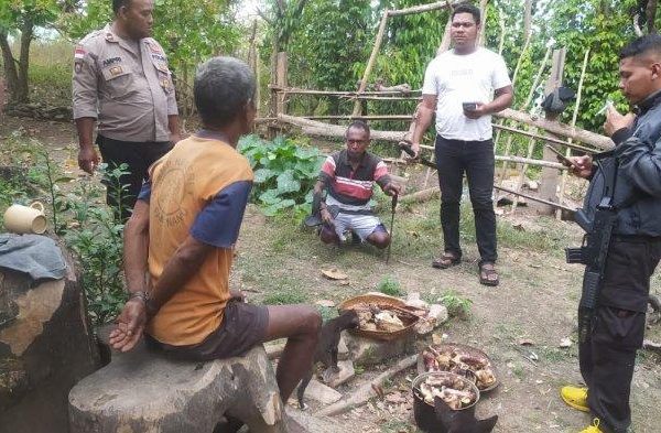 Daun penggemuk ayam di Biboki Moenleu, Timor Tengah Utara