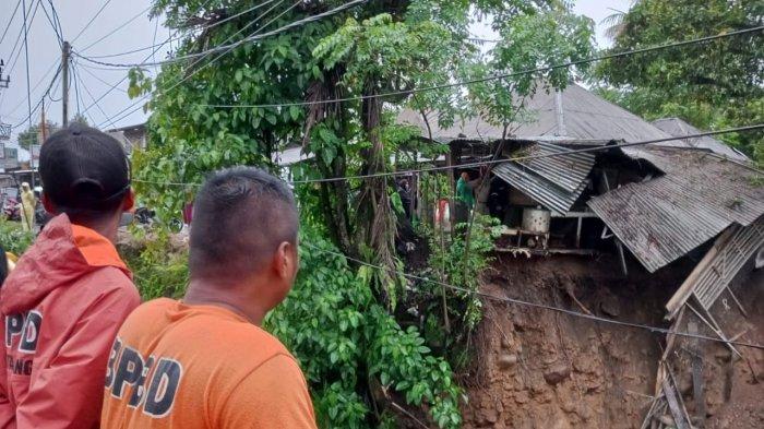 Cara Memilih Indukan Ayam KUB Penghasil Telur Tetas - HOBI TERNAK Budidaya ayam di Lubuk Kilangan, Kota Padang