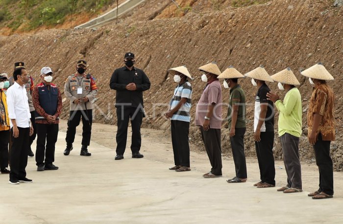 Daun penggemuk ayam di Ladongi, Kolaka Timur