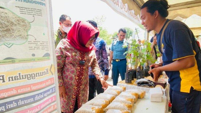 Kreatif, Pemuda di Tegal Manfaatkan Limbah Bulu Ayam untuk Alternatif ... Budidaya ternak ayam di Tegal Selatan, Kota Tegal