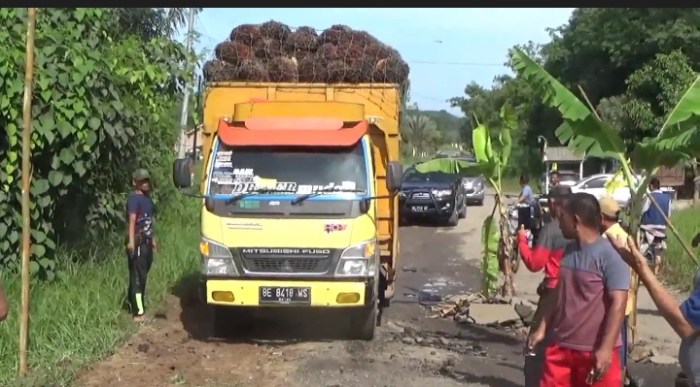 (PDF) TINGKAT INFESTASI DAN JENIS PARASIT SALURAN PENCERNAAN PADA SAPI ... (PDF) TINGKAT INFESTASI DAN JENIS PARASIT SALURAN PENCERNAAN PADA SAPI ...