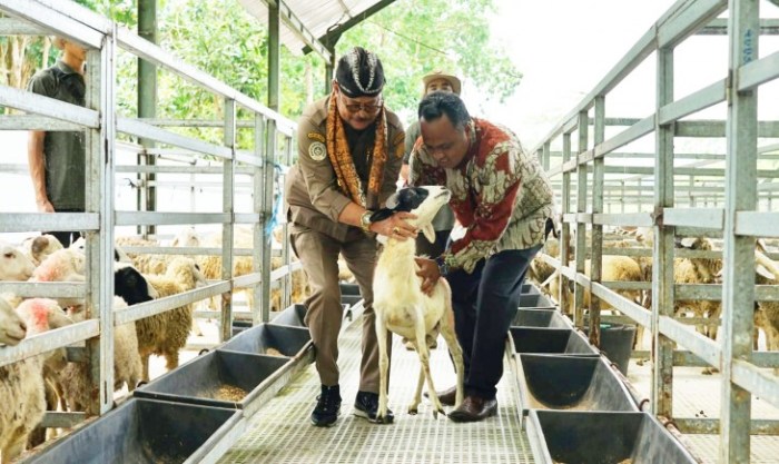 Daging kambing di Gending, Probolinggo