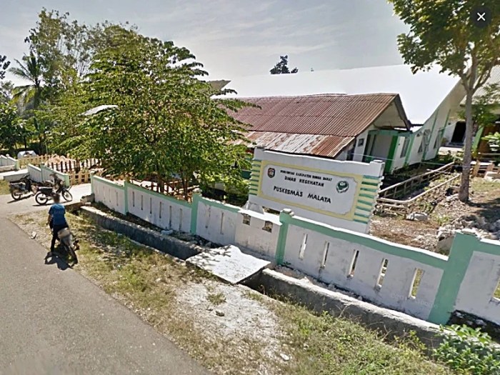 Daun penggemuk ayam di Tana Righu, Sumba Barat