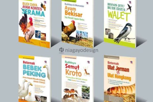 Budidaya ternak ayam di Baturetno, Wonogiri