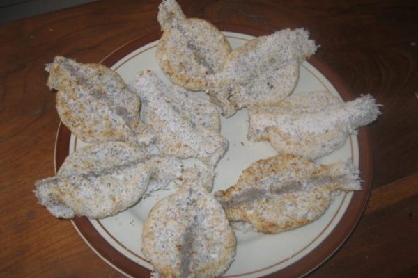 Daun penggemuk ayam di Dompu, Kabupaten Dompu