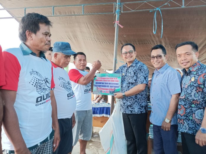 Ternak Ayam Petelur Pilihan di Masa Pandemi Halaman 1 - Kompasiana.com