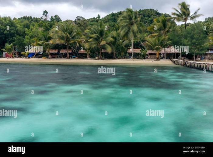 Daun penggemuk ayam di Banggai Tengah, Banggai Laut