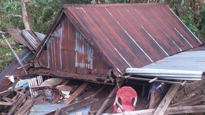 Daun penggemuk ayam di Tompobulu, Gowa