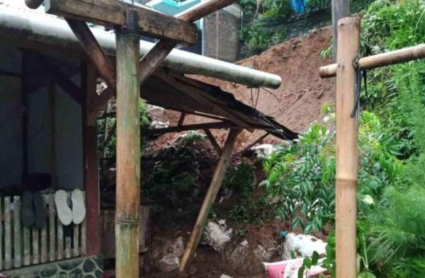 Promo Ayam Merah - Ayam Petelur Afkir - Ayam Afkir - Ayam Telur Afkir ...