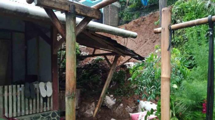 Promo Ayam Merah - Ayam Petelur Afkir - Ayam Afkir - Ayam Telur Afkir ... Promo Ayam Merah - Ayam Petelur Afkir - Ayam Afkir - Ayam Telur Afkir ...