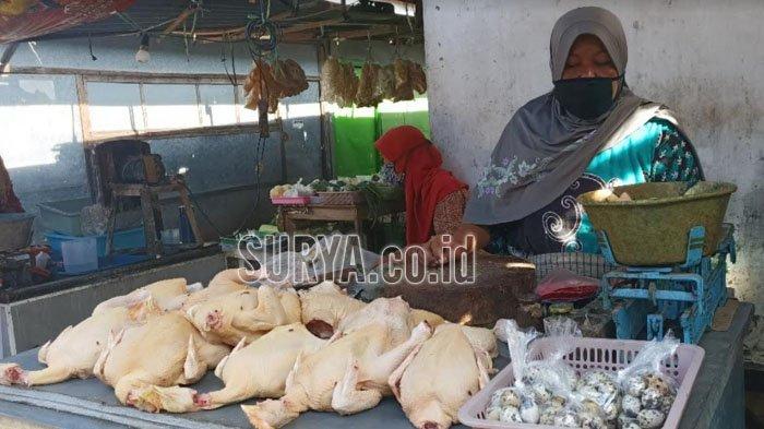 Ayam Ternak di Ngancar, Kediri
