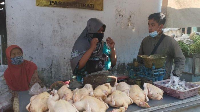 Awal Ramadan 2021, Harga Ayam Broiler di Kabupaten Kediri Meroket ... Ayam Ternak di Gurah, Kediri