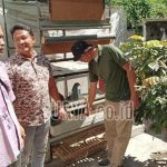 Kampung di Karah Surabaya Budidaya Ratusan Ayam, Mampu Minimalisir Bau ...