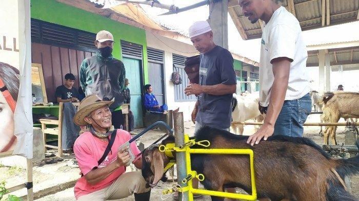 Daging kambing di Gandrungmangu, Cilacap