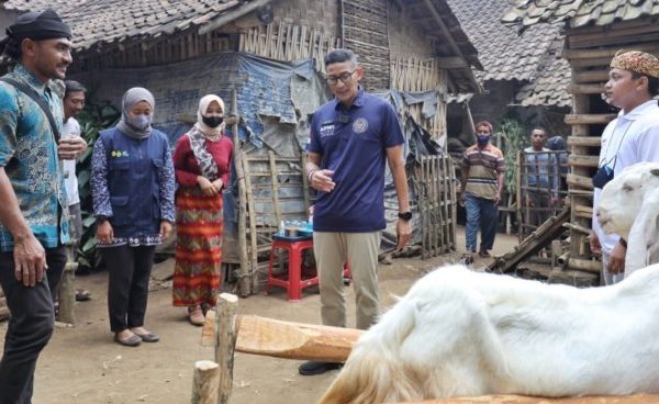 Susu kambing di Jambesari Darus Sholah, Bondowoso