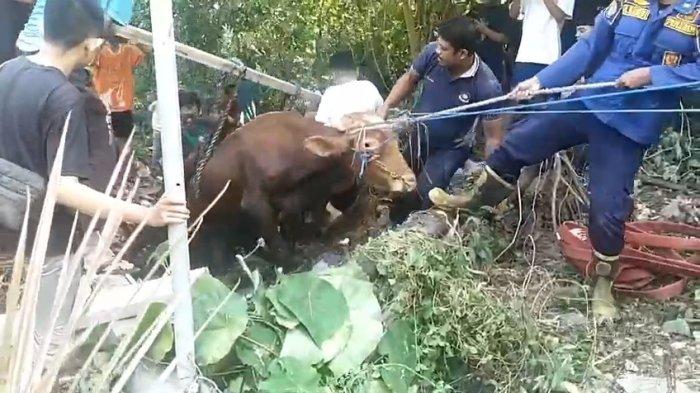 Daging kambing di Dukun, Gresik