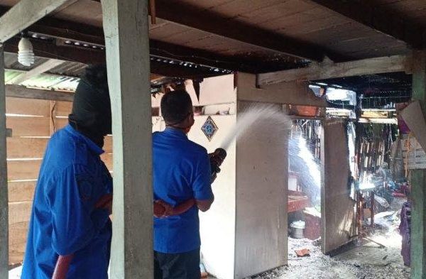 Daun penggemuk ayam di Marioriwawo, Soppeng