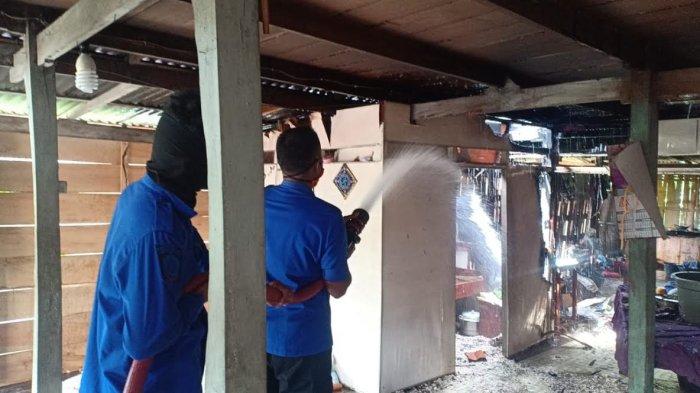 Daun penggemuk ayam di Marioriwawo, Soppeng