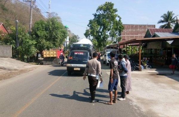 Daun penggemuk ayam di Pammana, Wajo