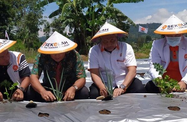 Bisnis Ayam Potong Kampung, Bisnis Rumahan Omzet Jutaan - Distributor ...