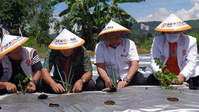 Bisnis Ayam Potong Kampung, Bisnis Rumahan Omzet Jutaan - Distributor ... Bisnis Ayam Potong Kampung, Bisnis Rumahan Omzet Jutaan - Distributor ...