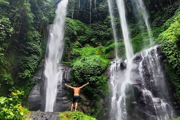 Daun penggemuk ayam di Buleleng, Buleleng