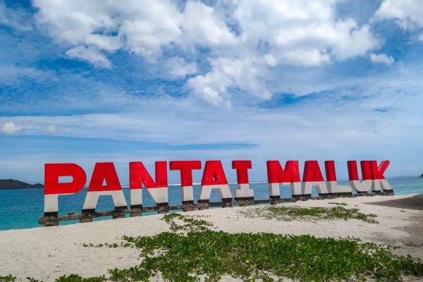 Daun penggemuk ayam di Maluk, Sumbawa Barat