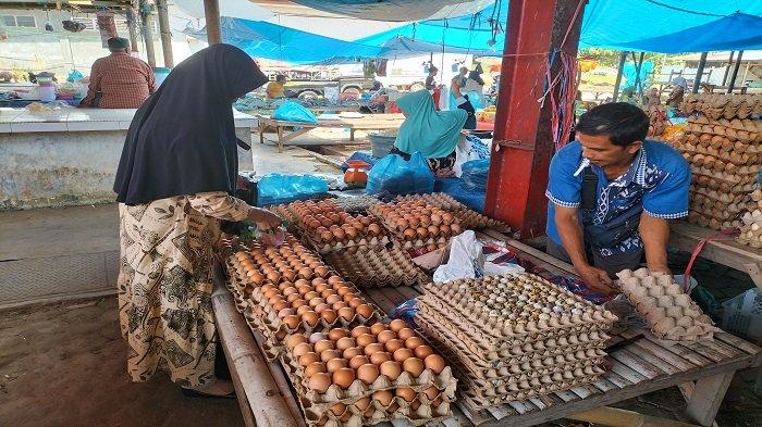 Harga Telur Ayam di Kabupaten Sijunjung Masih Tinggi, Pedagang Harapkan ... Budidaya ayam di Sijunjung, Kabupaten Sijunjung