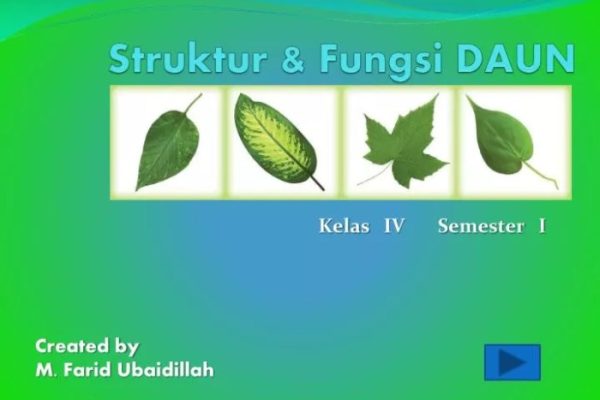 Daun penggemuk ayam di Bpiri, Kab. Jayawijaya