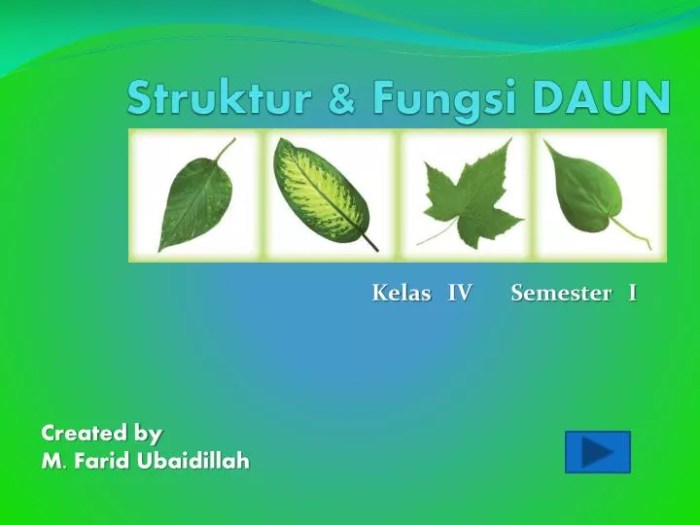 Daun penggemuk ayam di Nogi, Kab. Lanny Jaya