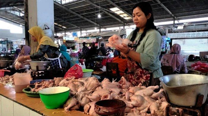 Harga Daging Ayam Broiler di Ungaran Kabupaten Semarang Masih Tinggi ... Ayam layer di Bangko Barat, Kabupaten Merangin