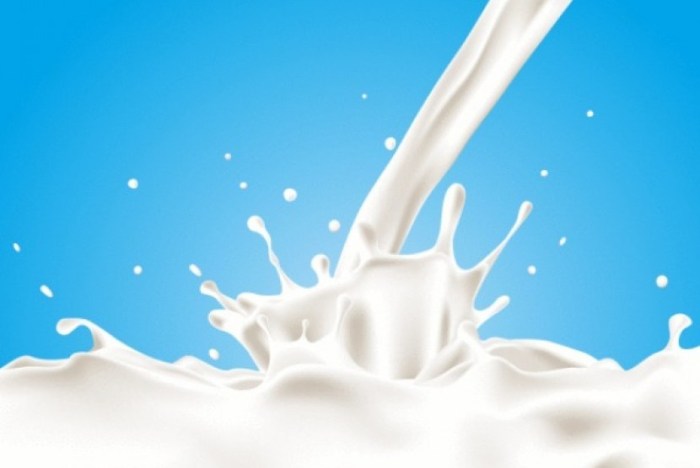 Susu kambing di Cilebar, Karawang