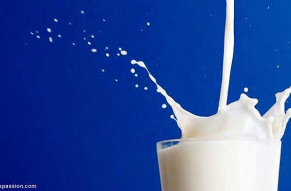 Susu kambing di Ngasem, Bojonegoro