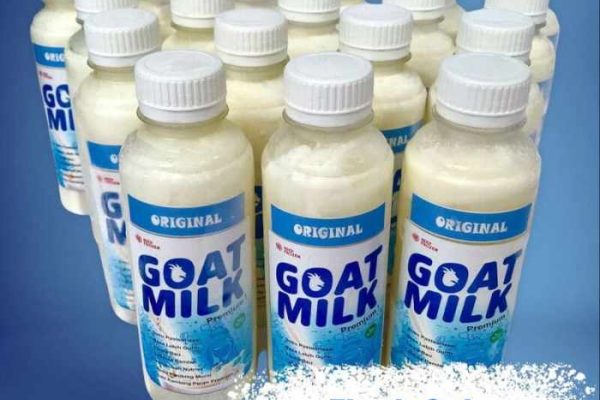 Susu kambing di Balongbendo, Sidoarjo