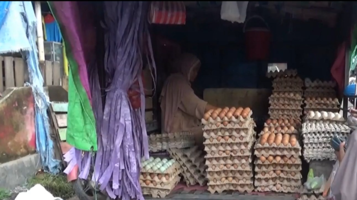 Harga Telur Ayam di Polewali Mandar Tembus Rp53 Ribu/Rak Harga Telur Ayam di Polewali Mandar Tembus Rp53 Ribu/Rak