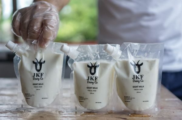 Susu kambing di Pagerageung, Tasikmalaya